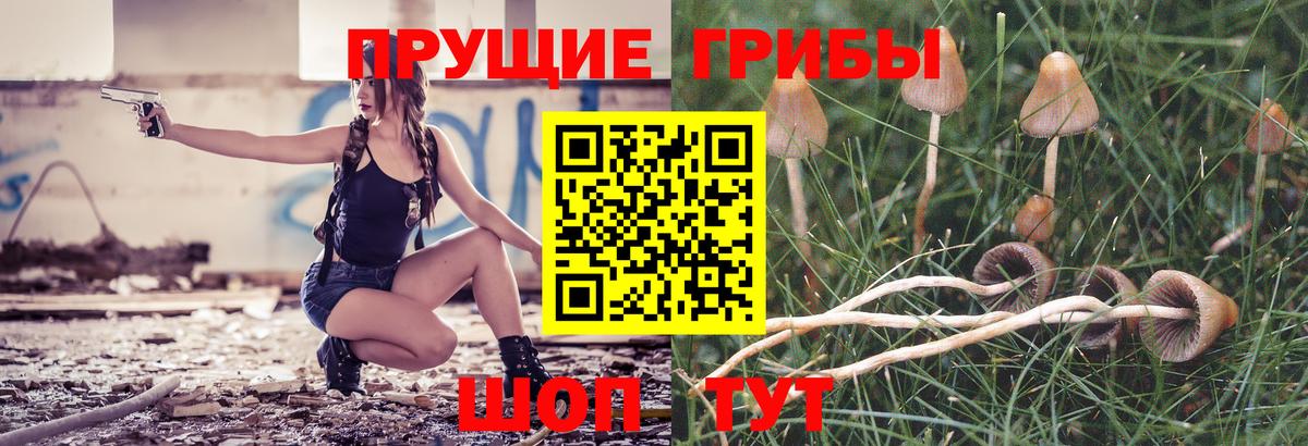 Еманжелинск  Псилоцибиновые грибы Psilocybe  магазин  наркотиков  Вход с VPN 
