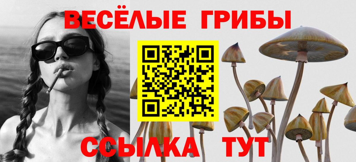 Галлюциногенные грибы Psilocybine cubensis Еманжелинск